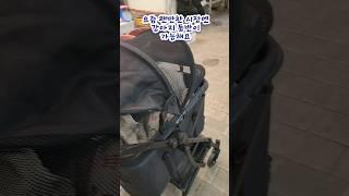 #꼬몽이와재래시장가기 #인천용현시장 #신포국제시장 #외쿡문물이수입되던곳