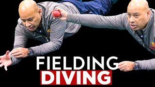 ULTIMATE Cricket Fielding GUIDE - BASICS & TECHNIQUE on the PERFECT DIVE