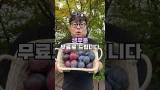 변비 심하신 분들! 모이세요!! 생푸룬 무료로 드리겠습니다!!