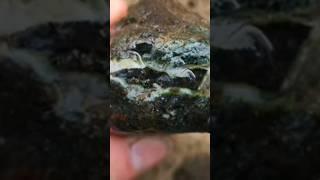 apex of each crystal may point towards the center of the cavity #agate