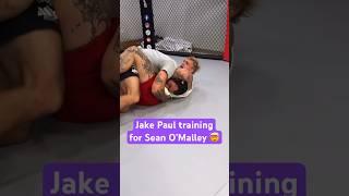 Jake Paul training for Sean O’Malley 