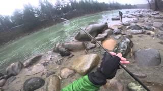 Winter Steelhead 2016 -- Back to Back Steelhead