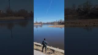 Курган 2025,паводок на реке Тобол не ожидается#shorts  #обзор #travel  #весна#красота