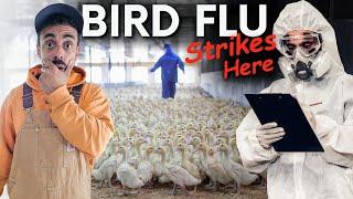  TRAGIC NEWS: Metzer Farms LOSES THOUSANDS of Ducks, Geese & Eggs to BIRD FLU OUTBREAK