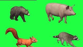 Best animals green screen | no copyright || cartoon animation story || cat dog elephant chicken pig