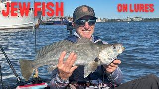 Jew and Estuary Perch - Woolooware Bay