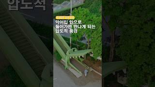 악어 입 속으로 걸어 들어가면 만나게 되는 압도적인 풍경 #국내여행지추천