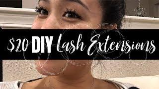 $20 DIY EYE LASH EXTENSIONS | Jenny Le