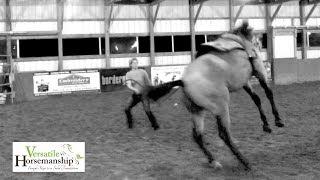 Starting young horses // Versatile Horsemanship