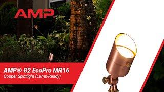 AMP® G2 EcoPro Copper Spotlight