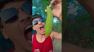 He Tried My Oranges… And Instantly Regretted It! ️ You Won’t Believe Why!