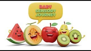 Baby Sensory Journey: Discover Magical World of Colors