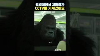 고릴라가 편의점에서 이걸 가져갔다고? #해치지않아