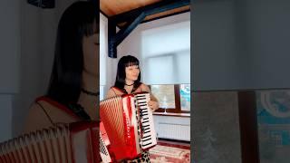 Синий платочек #cover #music #триаккорда #баян #russianmusic #russiankalinka #гармонь #kalinka