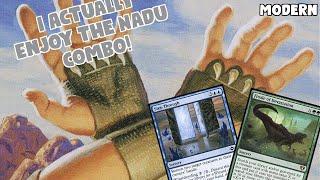 I Actually Enjoy the Nadu Combo! | MH3 StepNadu | Modern Prelim | MTGO