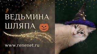 Шляпа ведьмы своими руками, как сделать? Мокрое валяние для начинающих. Елена Черкасова. #tutorial