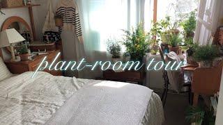 Bedroom plant tour_Indoor Air Purifying Plants