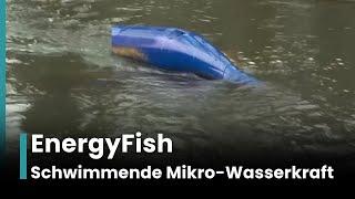 EnergyFish: Eine schwimmende Mikro-Wasserkraftanlage revolutioniert die Energieerzeugung |RND | AI1E