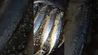 Satisfying Frying Of Round scad fish (Galunggong) #asmr #cooking #shorts #ytshorts #shortsvideo