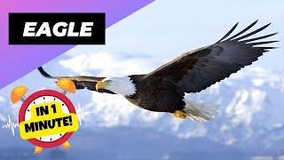 Eagle - In 1 Minute!  One Of The Worst Animal Mothers In The Wild | 1 Minute Animals