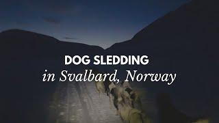 Dog sledding in Svalbard