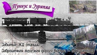 Забытые ЖД станции Пуннус и Эуряпяа. Заброшенная железная дорога Выборг-Вещево-Барышево-Мичуринское
