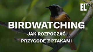 BIRDWATCHING. Jak rozpocząć przygodę z ptakami