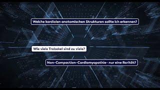 InstaRad: Breitensport fürs Gehirn - Ein innovatives Lernkonzept in der Radiologie