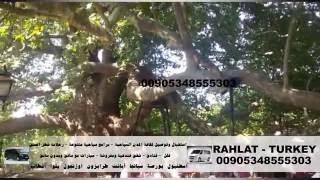 الشجرة المعمرة في بورصة  00905343324883 رحلة بورصة