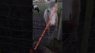 DJI mic 2 full vidio is uploaded