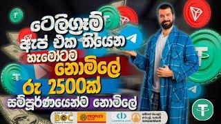 How To Earn E Money Sinhala | Online Business Sinhala | New Airdrop Project 2025 | E-Money Sinhala