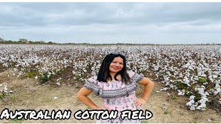 Visiting an Australian cotton field with Cindy/ Atherton Tablelands//Cheche Lañojan