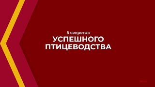 Онлайн курс обучения «Птицеводство» - 5 секретов успешного птицеводства