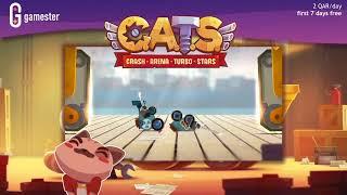 Cats English 30