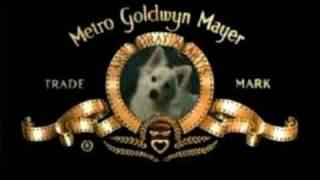 MGM Dog