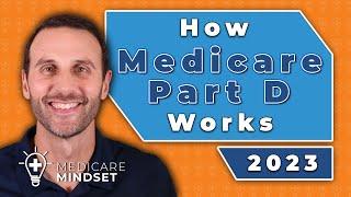 How Medicare Part D Works (2023)