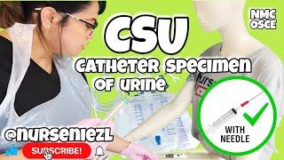 Catheter Specimen of Urine (CSU) with Needle : NMC OSCE   #nurseniezl #niezl2023 #jenuinehappiniz