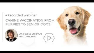TR Biogal Academy | Dr Paola Dall"Ara Canine Vaccination from Puppies to Senior Dogs