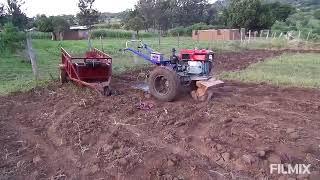 ploughing with the two wheel tractor.