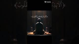 Я люблю ислам #video #shortvideo