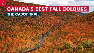 SPECTACULAR FALL COLOURS on the CABOT TRAIL! (Nova Scotia Autumn Road Trip)