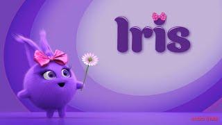 Sunny Bunnies - Meet The Bunnies - Iris