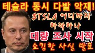 테슬라 다발 악재 발생! $TSLA 어디까지 하락하나 / Tesla 쇼킹한 사실 발표 / 테슬라 대량 조사 시작 /  테슬라 투자