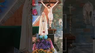 Amme ente amme#christiandevotionalsongsmalayalam#mariansongstatustamil