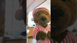 Touchdown Awakens: From Hibernation to Spring Mischief at Cornell