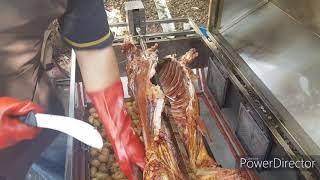 How to break up whole lamb after cooking on spitbraai!