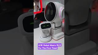 Introducing Aibi Robot to RUX Robot  #Shorts