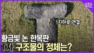 스브스와이드도 처음본 기이한 구조물 미스터리