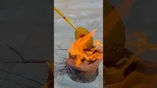 #ajeeshvlogster #trending #aadi1 #festivel #traditional #coconut #fire #foodie #celebration