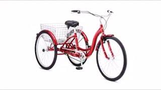 Schwinn Meridian Adult Tricycle, Cruise through town with everything you need in-tow